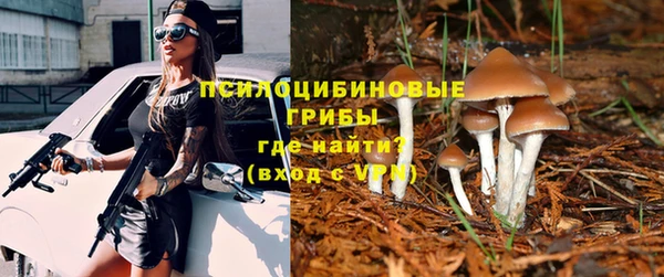 ALPHA PVP Алексин