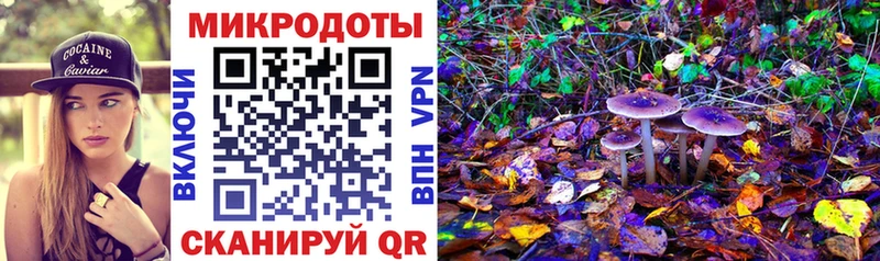 Галлюциногенные грибы мицелий  Кемерово 
